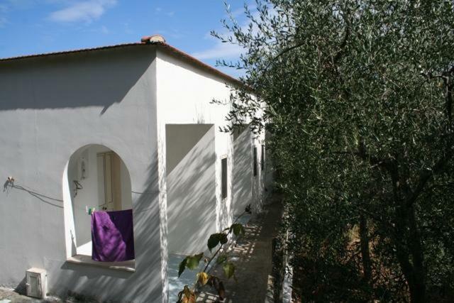 Casa Vacanze Pizzone Apartment เปสคีชี ภายนอก รูปภาพ